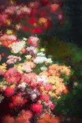 Blumenbeet